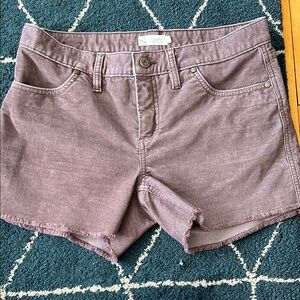 Carve Designs Oahu 4” Women's Shorts